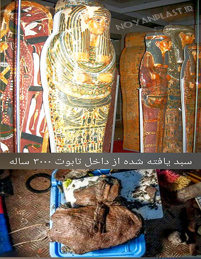 سبد میوه 3000 ساله