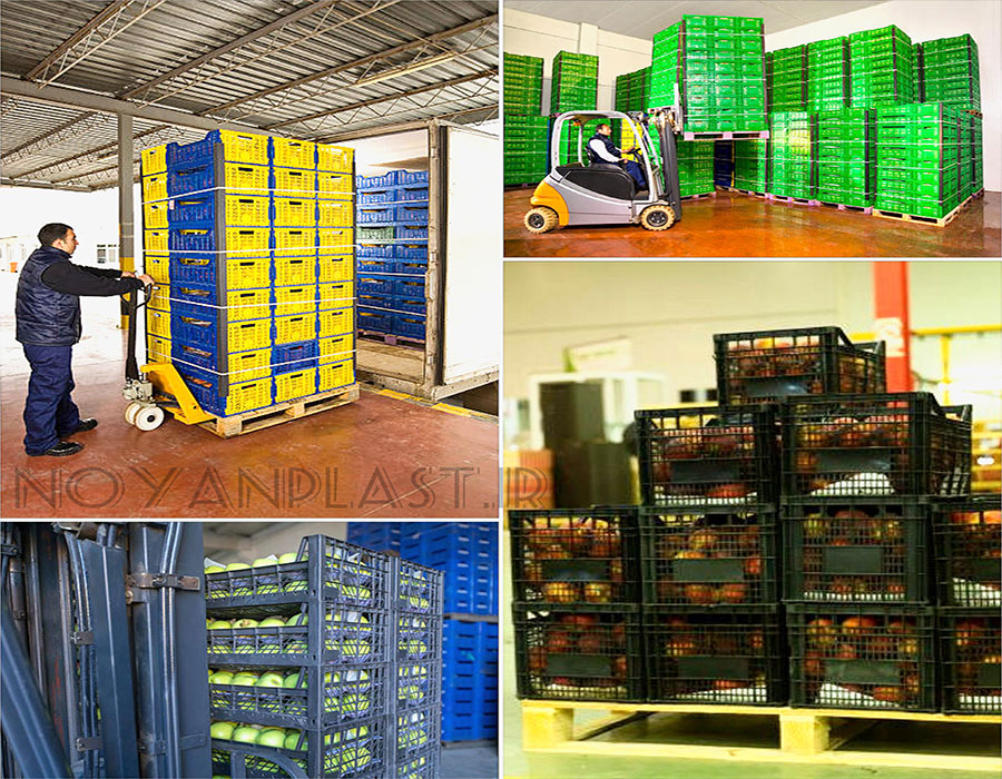 انبار سبد میوه