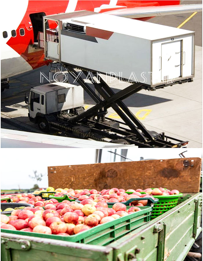 حمل و نقل سبد میوه 