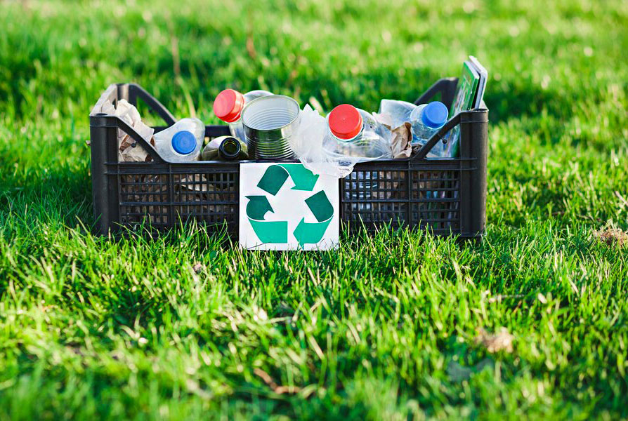 بازیافت سبد میوه