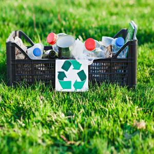 What do you know about fruit basket recycling?