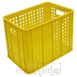 fruit basket code 203