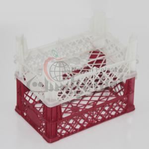 fruit basket 1 kilo F